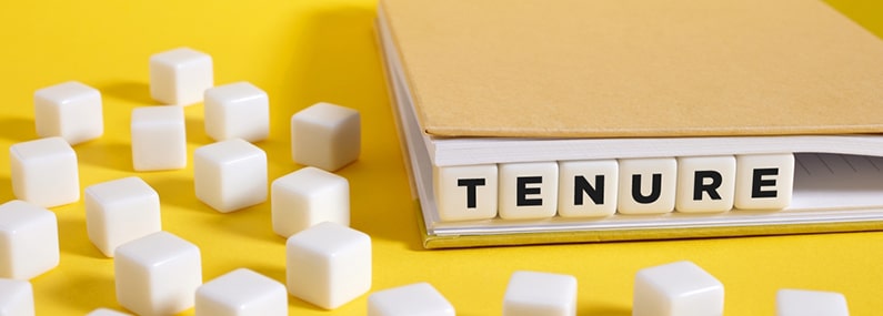 tenure in a job meaning